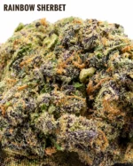 RAINBOW SHERBET 23% CBD – Image 2