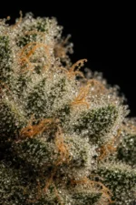 Gorilla 15% CBD – Image 2