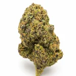 RAINBOW SHERBET 23% CBD