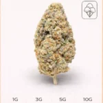 RAIMBOW SHERBET 23% CBD