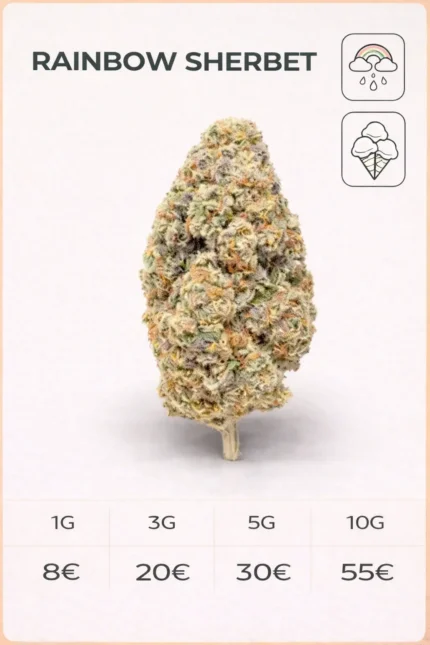 RAIMBOW SHERBET 23% CBD