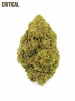 CRITICAL CBD Premium