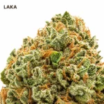 LAKA 19%CBD – Fleur Mangue Citron | La Kali CBD Marseille – Image 2