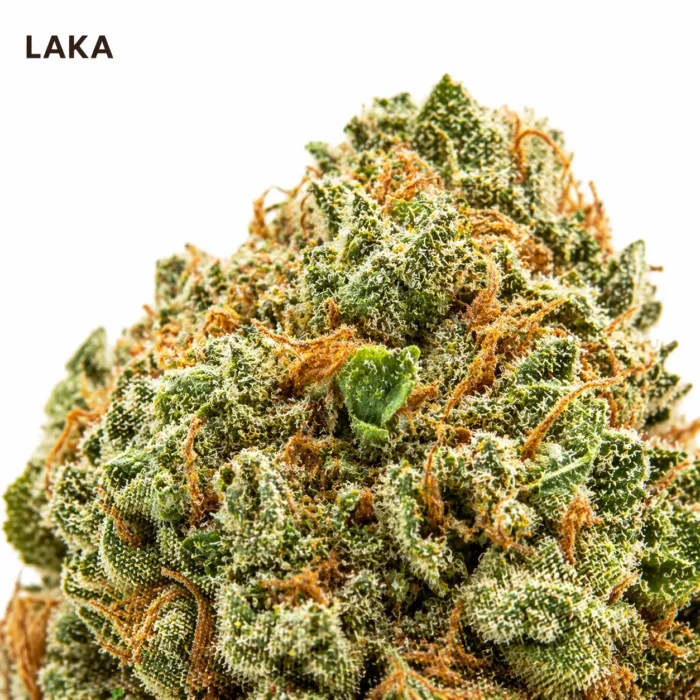 LAKA 19%CBD – Fleur Mangue Citron | La Kali CBD Marseille – Image 2
