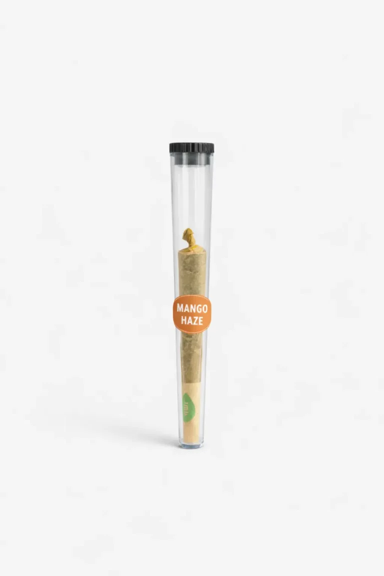 Pré-roll CBD Mango Haze à l’unité LA KALI dans tube hermétique