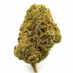 OG KUSH CBD Premium – Fleur Dense, Résineuse & Puissante