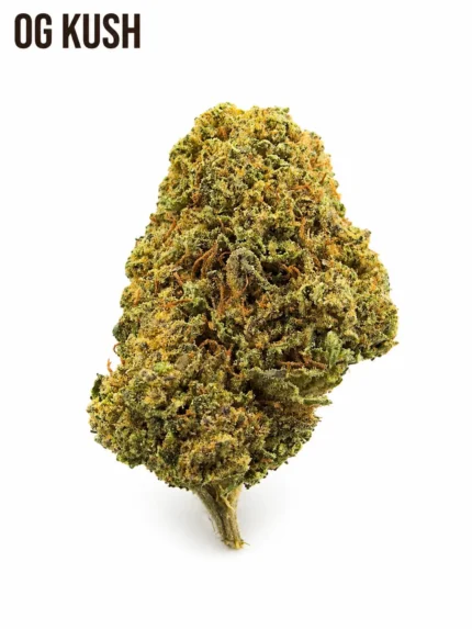 OG KUSH CBD Premium – Fleur Dense, Résineuse & Puissante