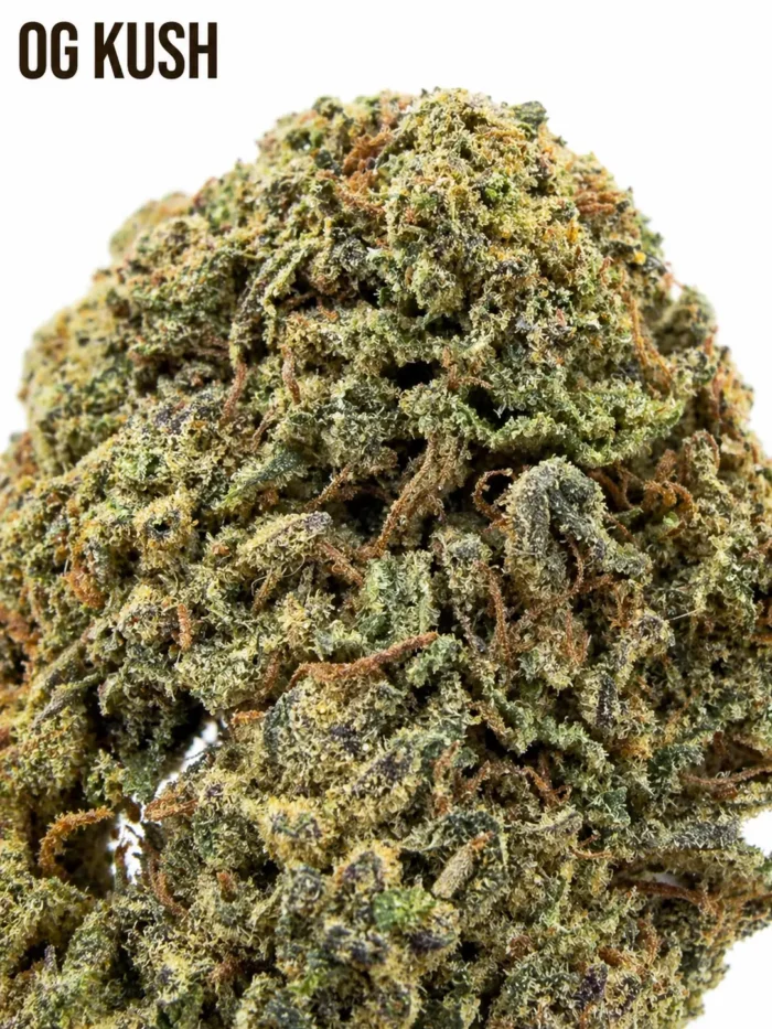 OG KUSH CBD Premium – Fleur Dense, Résineuse & Puissante – Image 2