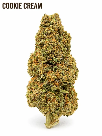 Cookie Cream CBD