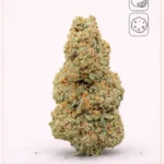 Cookie Cream CBD avec prix 1g 3g 5g 10g sur LA KALI CBD