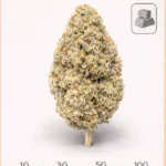 Fleur CBD LAKA aux arômes mangue et citron, tête dense et résineuse vendue chez La Kali CBD Marseille