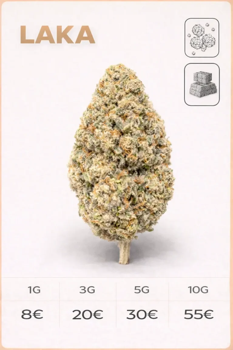 Fleur CBD LAKA aux arômes mangue et citron, tête dense et résineuse vendue chez La Kali CBD Marseille