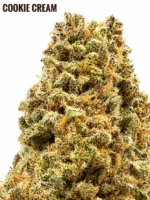 Cookie Cream CBD – Image 2